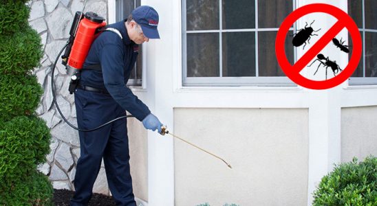 Söğütlü Haşere İlaçlama böcek ilaçlama ve haşere kontrolü — ilaclama-tr.com